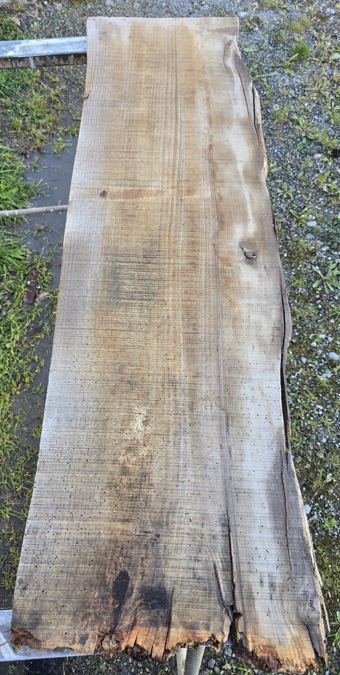 Articoli in legno: Altes Holzbrett – Usato da Rorschacherberg venduto da snOOpydOg11 5