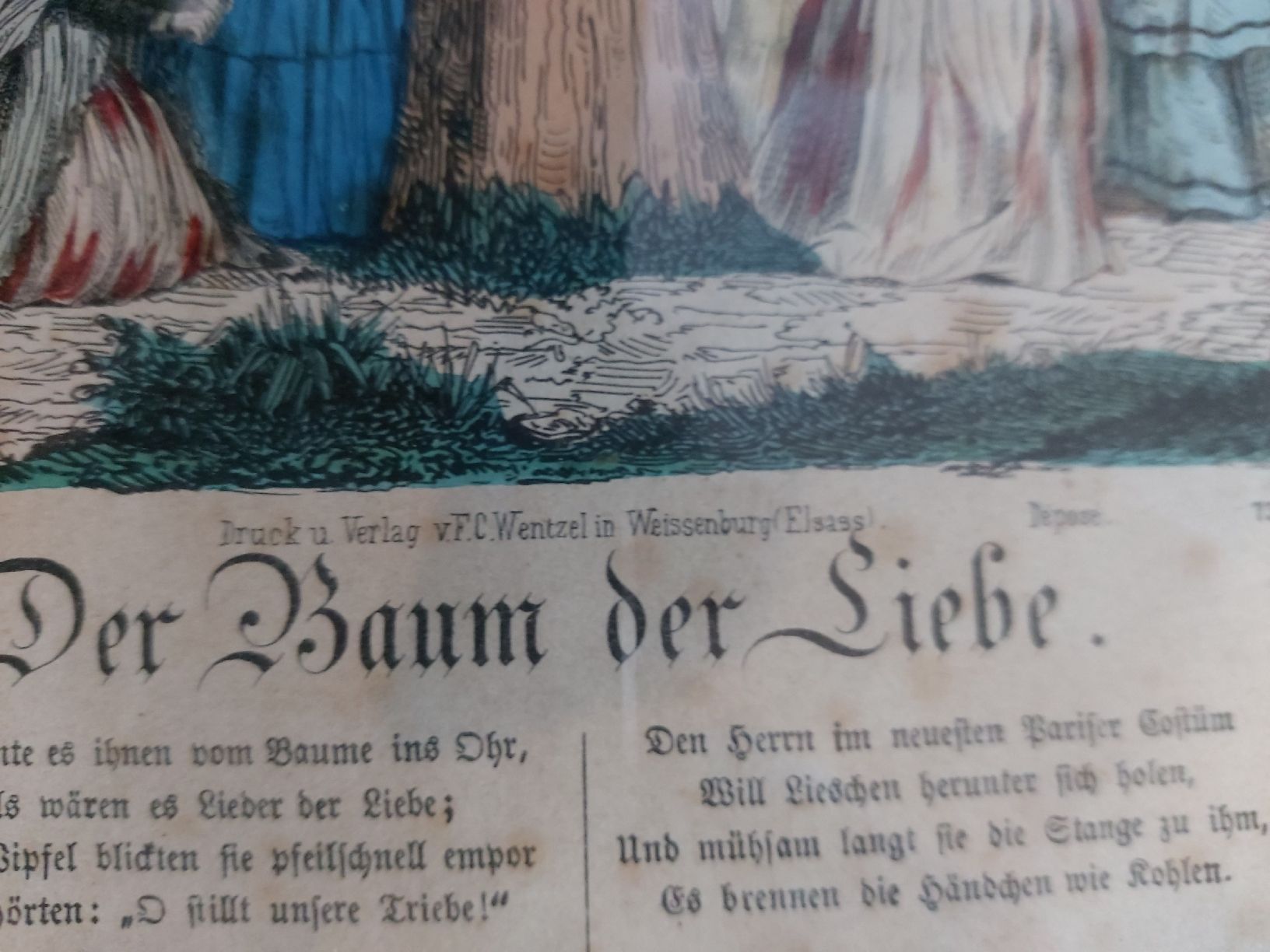 Foto & Immagini: Druck "Der Baum der Liebe" – Usato da Wabern venduto da nic_22p9 4