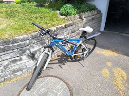 Totem 26 Zoll Velo