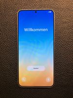 Samsung Galaxy S25+ 256 GB Silver Shadow