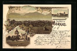 Litho Morges, L'arsenal, Weinberge, Chat