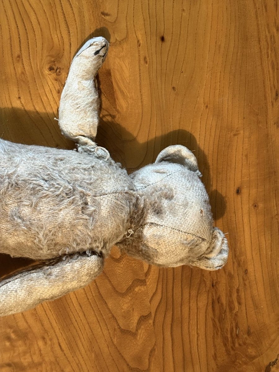 Giocattoli: Antik Teddybär – Usato da Sierre venduto da OCNL 8
