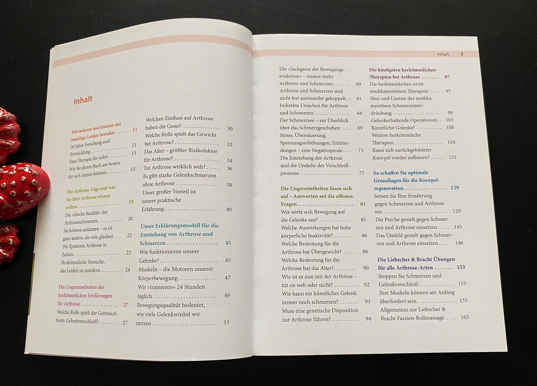 Libri: DIE ARTHROSE LÜGE – Usato da Nussbaumen AG venduto da schuba2000 3