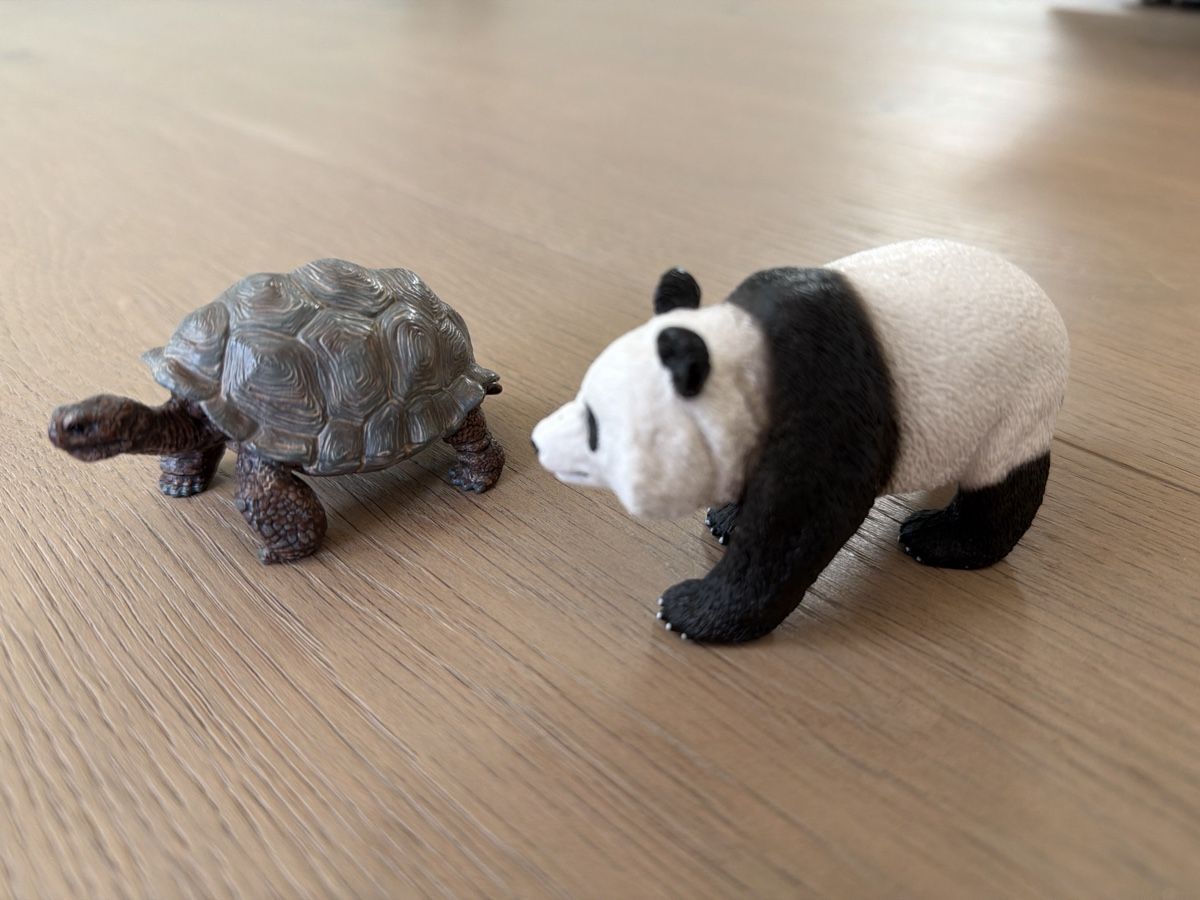 Schleich Giocattoli: Schleich Schildkröte und Panda – Usato da Kallnach venduto da Thetrader 1