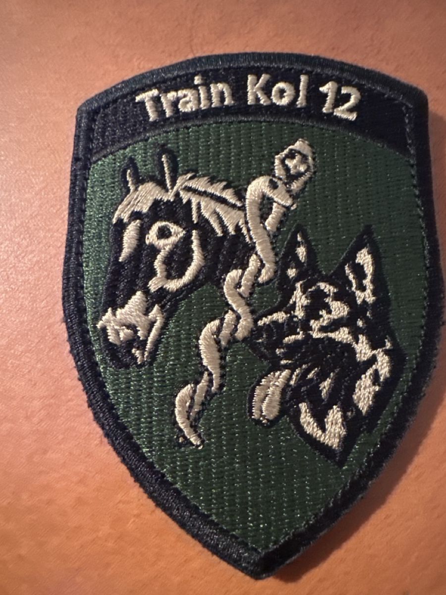 Schweizer Armee Toppe: Armee Train kol 12 – Usato da Morbio Inferiore venduto da Ecod