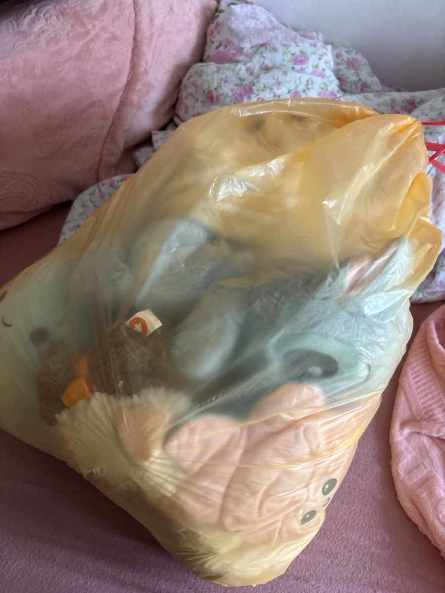 Giocattoli: Plüschtier Mystery bag  – Usato da Dübendorf venduto da ame_g69g