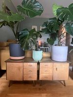 Vintage Nachttische 50er  Paar, Mid Century, konische Beine