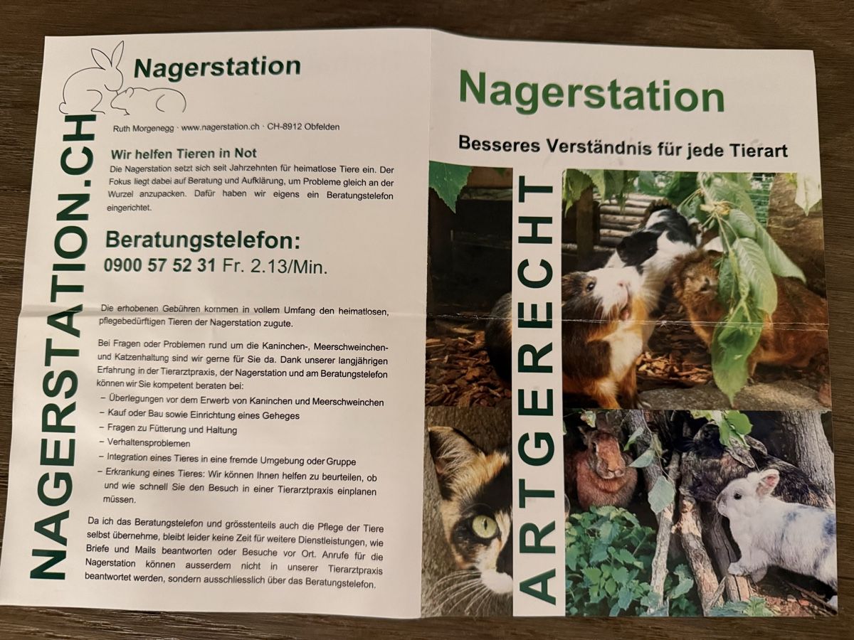 Käfige, Transport & Sicherheit: Kanninchenstall Hasengehege – Gebraucht aus Winterthur von tanscha 2