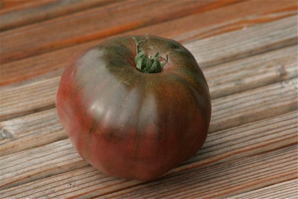 Piante & sementi: 50 Samen TOMATE BLACK RUSSIAN Alte Sorte – Nuovo (secondo la descrizione) da Ehrendingen venduto da VerveinaSamen 8