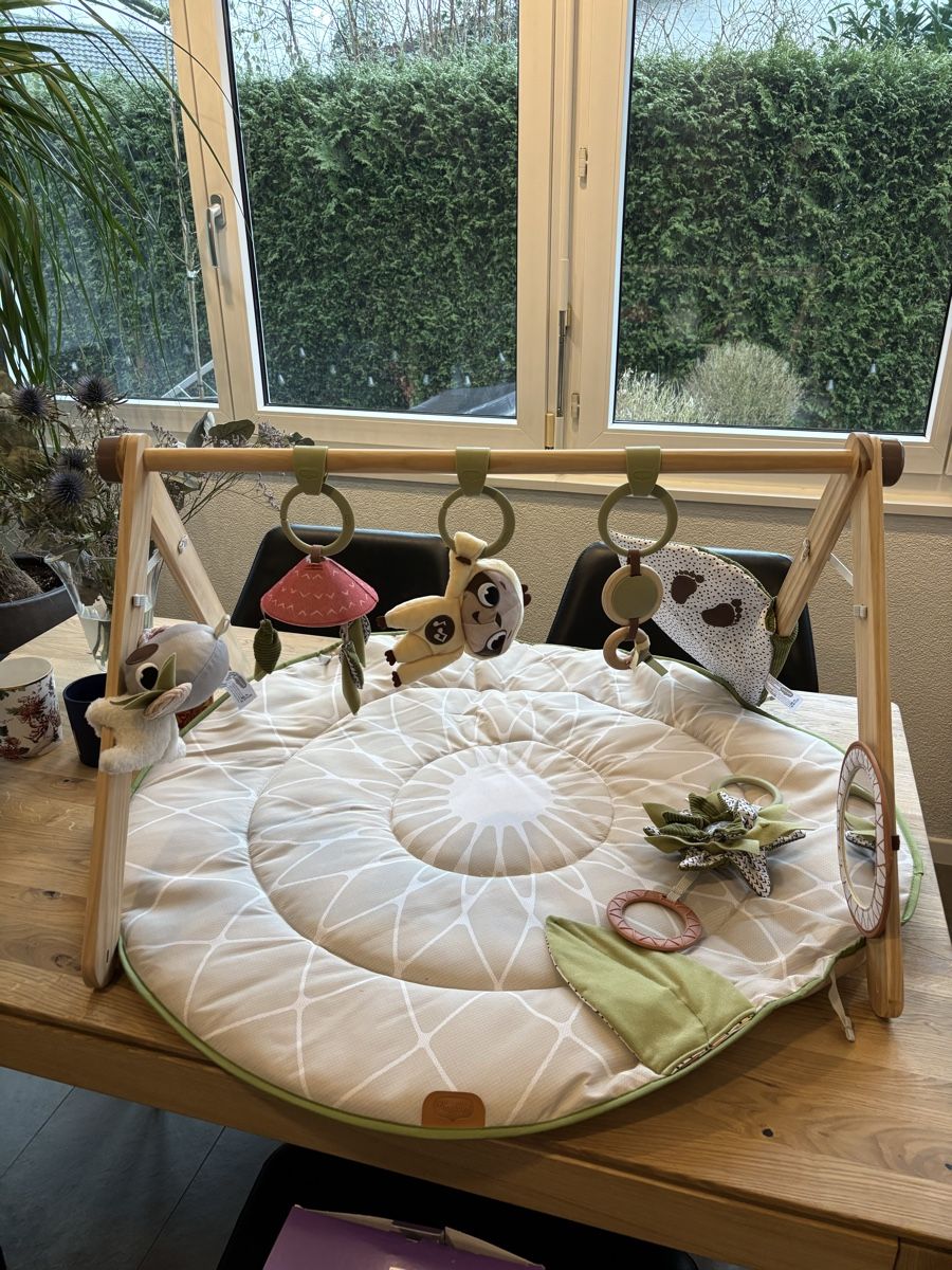 Spielmatte: Spielbogen Boho Chic Luxe Gymini – Gebraucht aus Sutz von charis1411