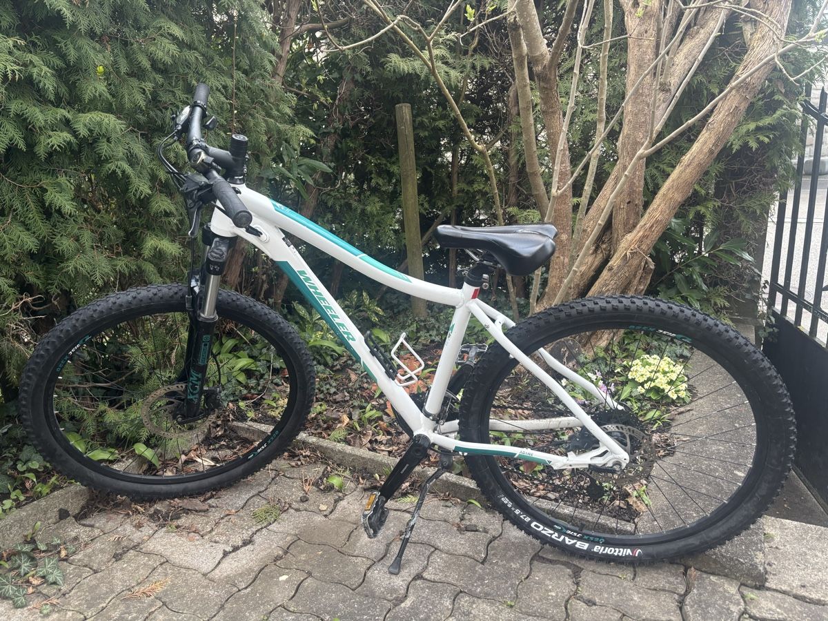 Wheeler Biciclette: Wheeler Mountainbike – Usato da wädenswil venduto da vandalos