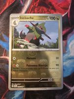 Incisache Masterball 