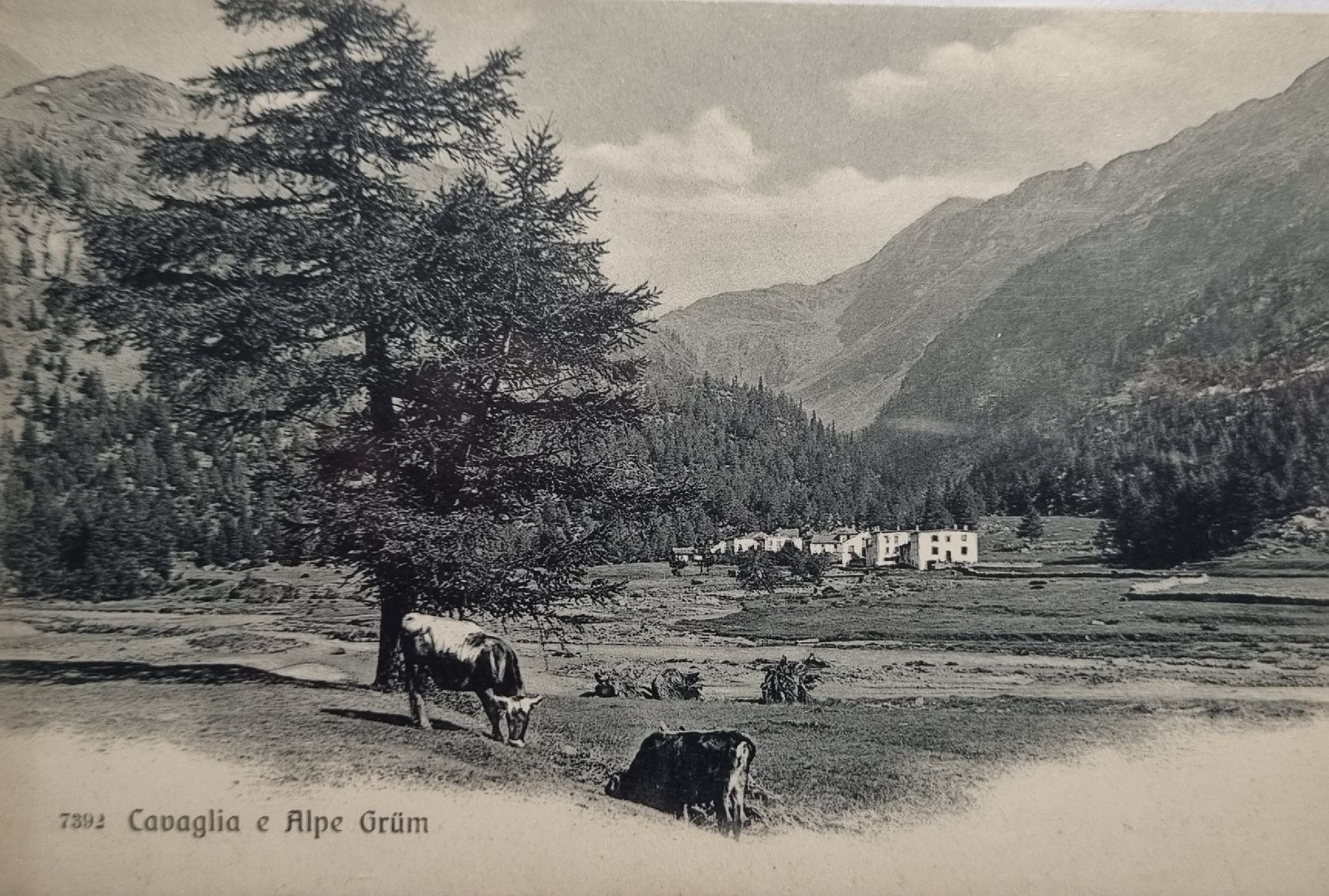 Cartoline postali: Valposchiavo Cavaglia – Nuovo (secondo la descrizione) da Li Curt venduto da asterixI