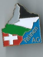 Freiburg Kantons - Pin