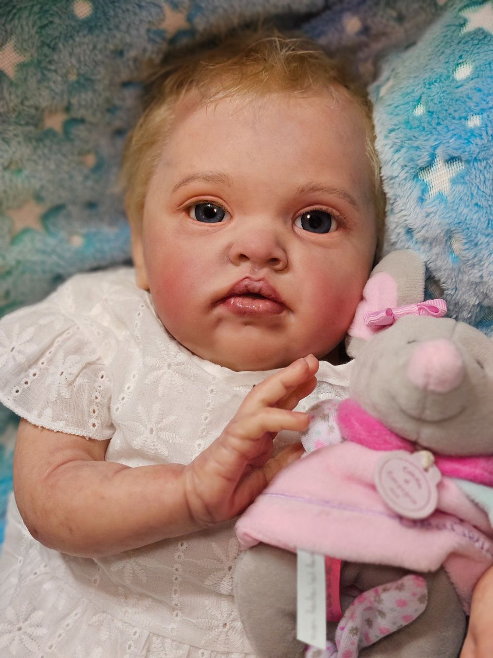Reborn Bambole: Rebornbaby Chantal – Usato da Beringen venduto da Sternschnappi 2