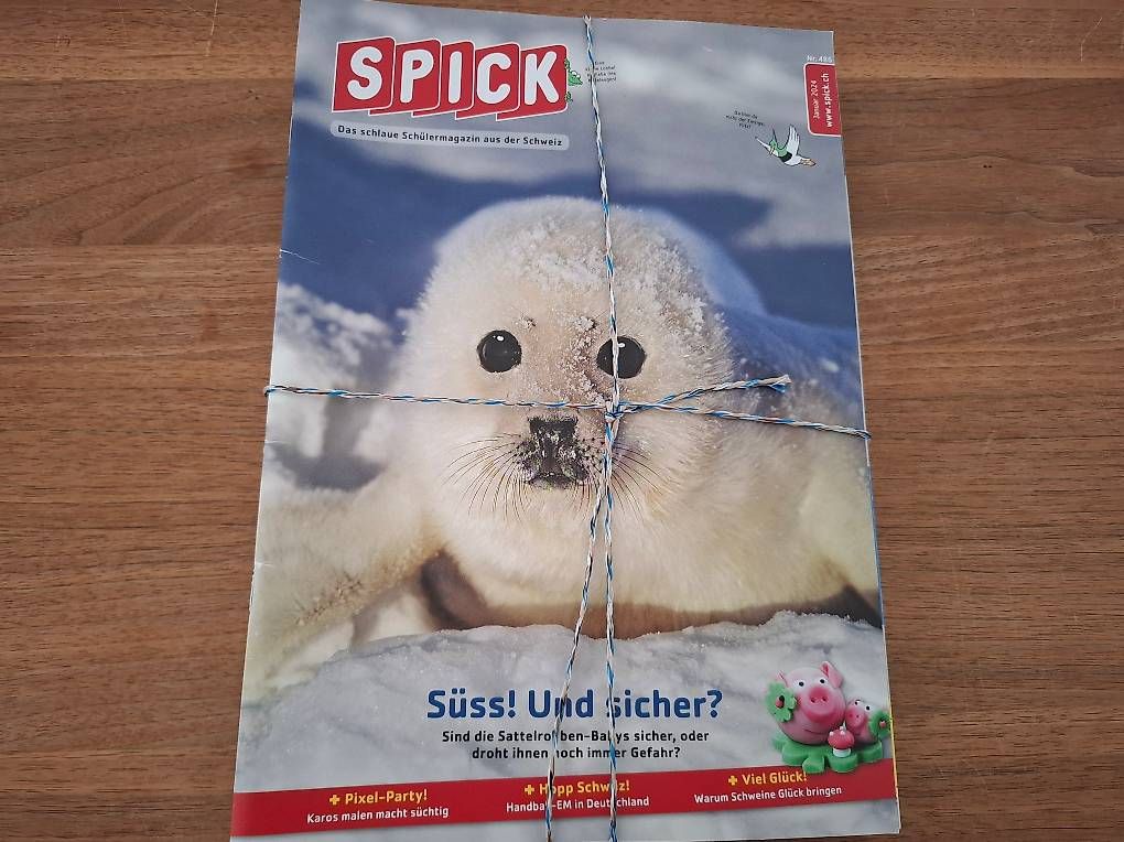 Riviste & Magazine: Spick Hefte 2024 – Usato da Halten venduto da Mutzji