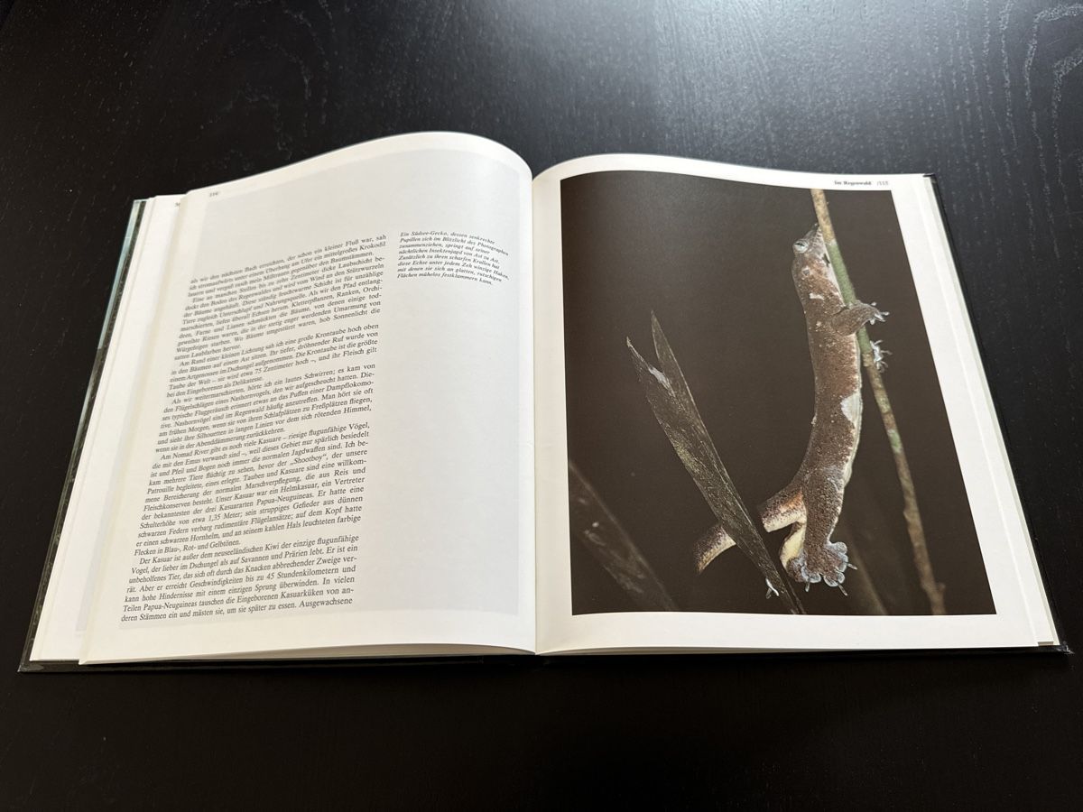 Libri: "Neuguinea" – Usato da Erstfeld venduto da Uhu1980 4