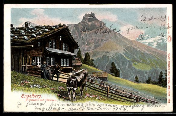 Cartoline postali: AK Engelberg, Flühmatt mit Hahnen – Usato da Berlin venduto da bartko-reher