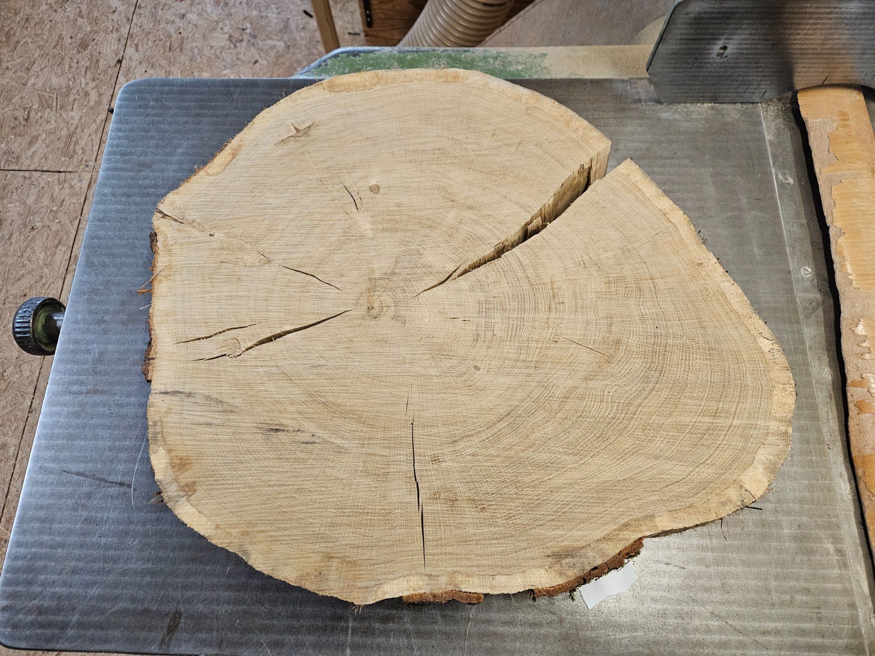 Holzartikel: Eichen Holz Baumscheibe – Neu (gemäss Beschreibung) aus Schangnau von egli6.2 7