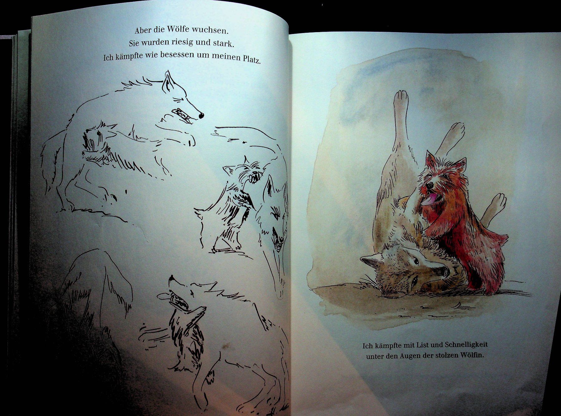 Libri: F. K. Waechter Der rote Wolf Diogenes EA 1998 – Usato da Reitnau venduto da Zaomir 4