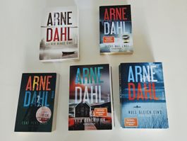 Arne Dahl: Berger & Blom Krimi Reihe (Band 1-5) TOP Thriller