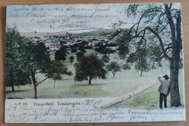 Frauenfeld Totalansicht handkoloriert 1900 mit Balkenstempel