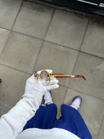 Cartier Giverny