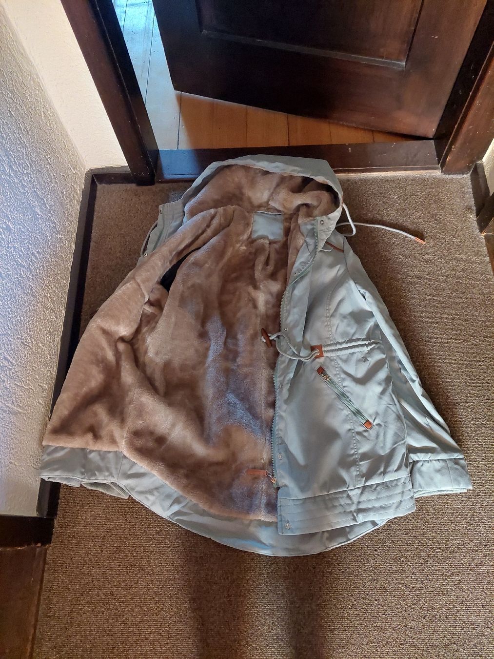 Giacche: Damen Winterjacke hellgrün mit Plüschfutter neu – Nuovo (secondo la descrizione) da Muttenz venduto da bea_mmf9 2