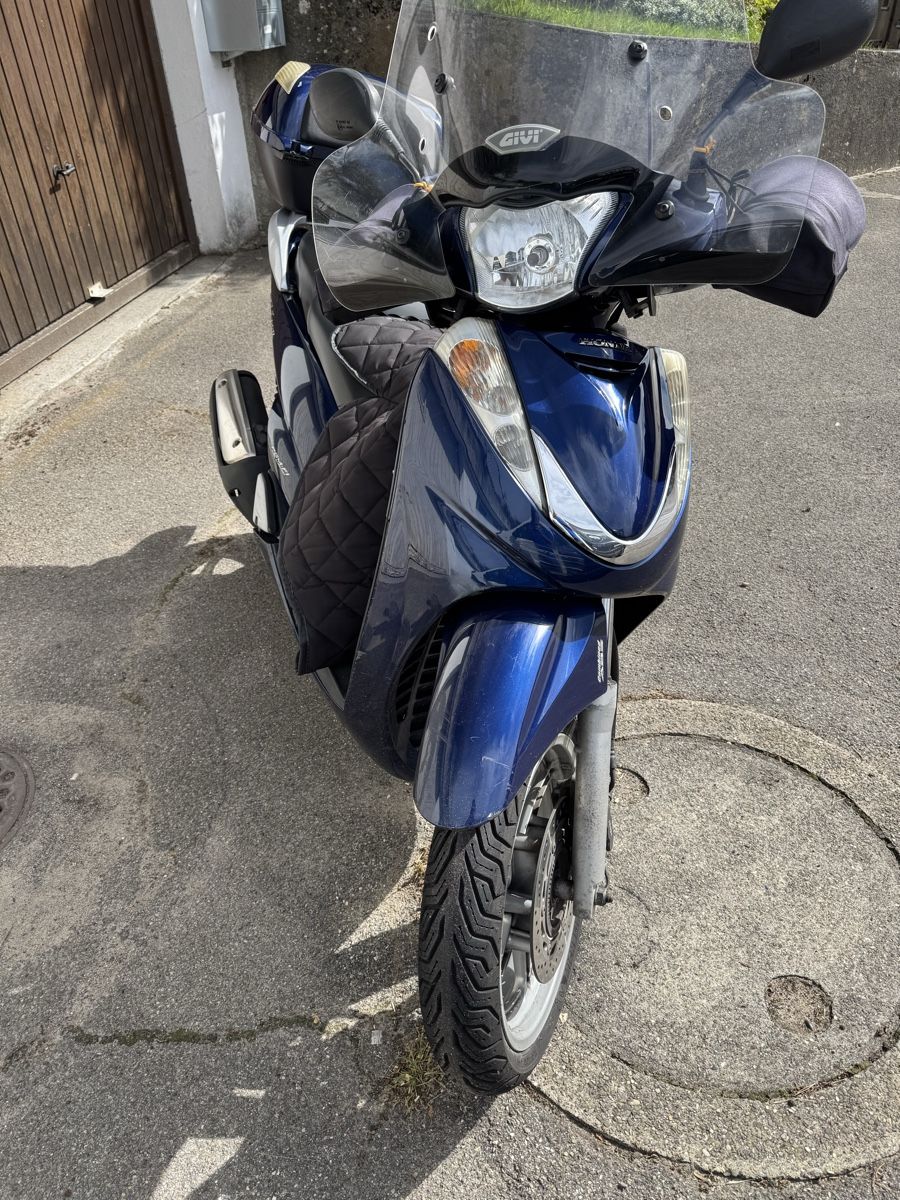 Honda Scooters: Honda SH 300i  – Gebraucht aus Ittigen von Guglu007 3
