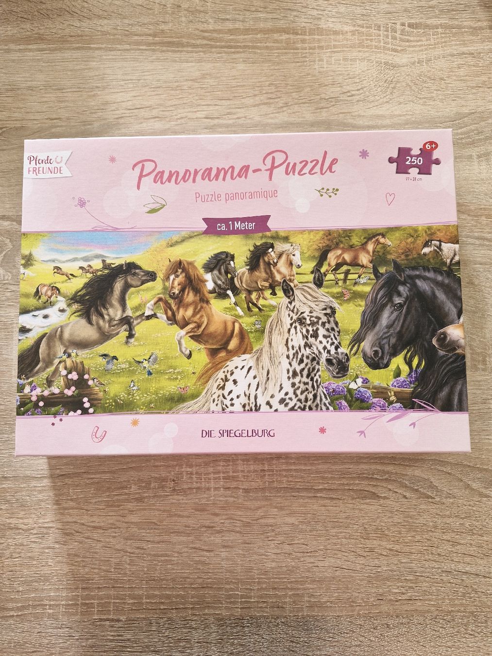 Puzzles: Panorama Puzzle Pferde Freunde – Gebraucht aus Luterbach von martinagl83
