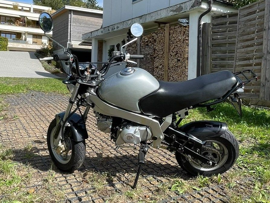 Skyteam Mini Bikes: Skyteam Quick Foot 50 (PBR) – Gebraucht aus Hausen am Albis von 74happy75 2