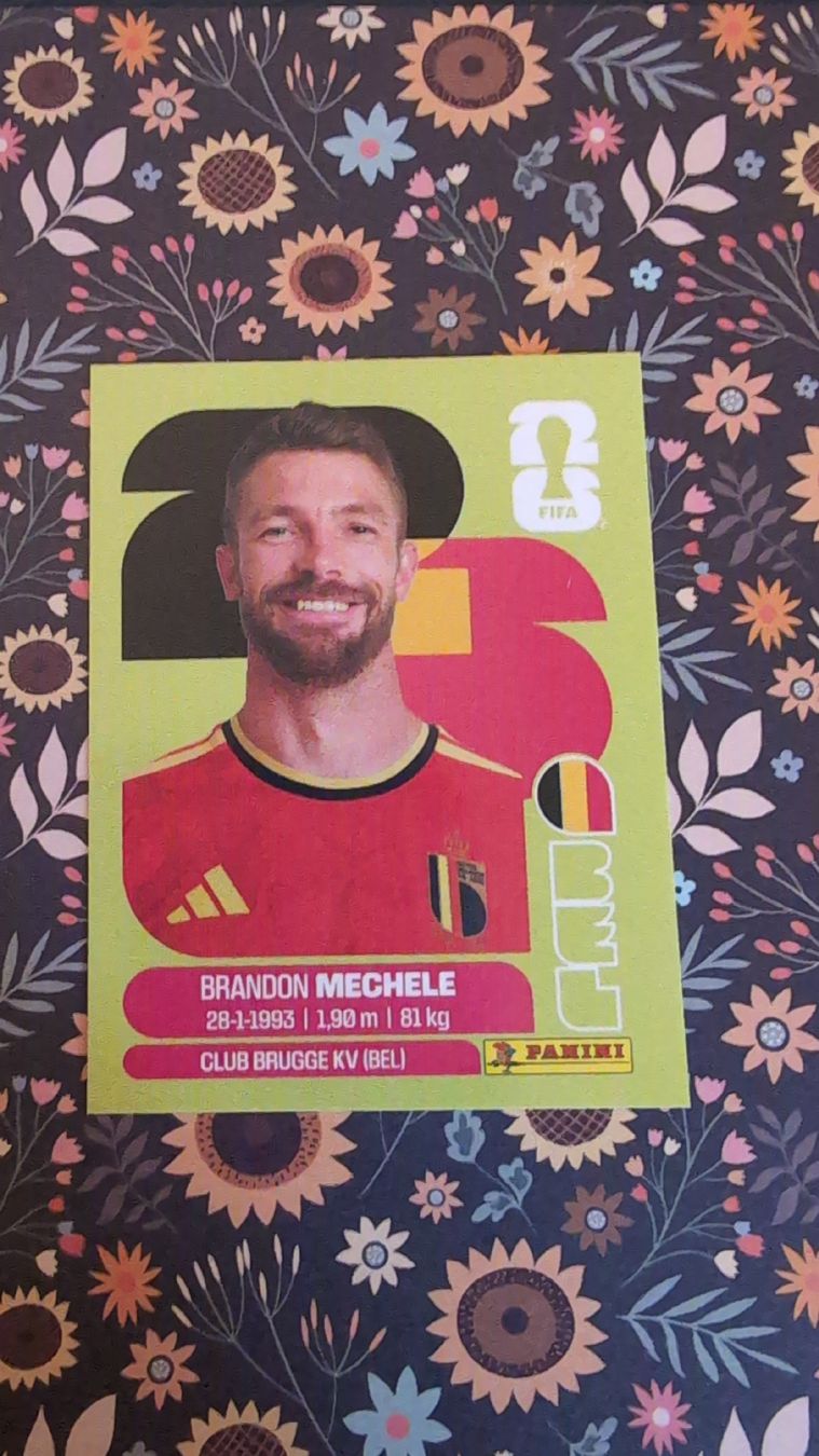 Panini Carte collezionabili: BEL 6 - PANINI - FIFA WM 2026 – Nuovo (secondo la descrizione) da Bauma venduto da tobiaskl