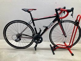 Damen Rennrad Rose XEON wunderschön Grösse S