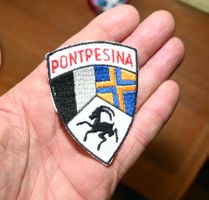 VINTAGE Badge PONTRESINA nos ST. GALLER STICKEREI wappen