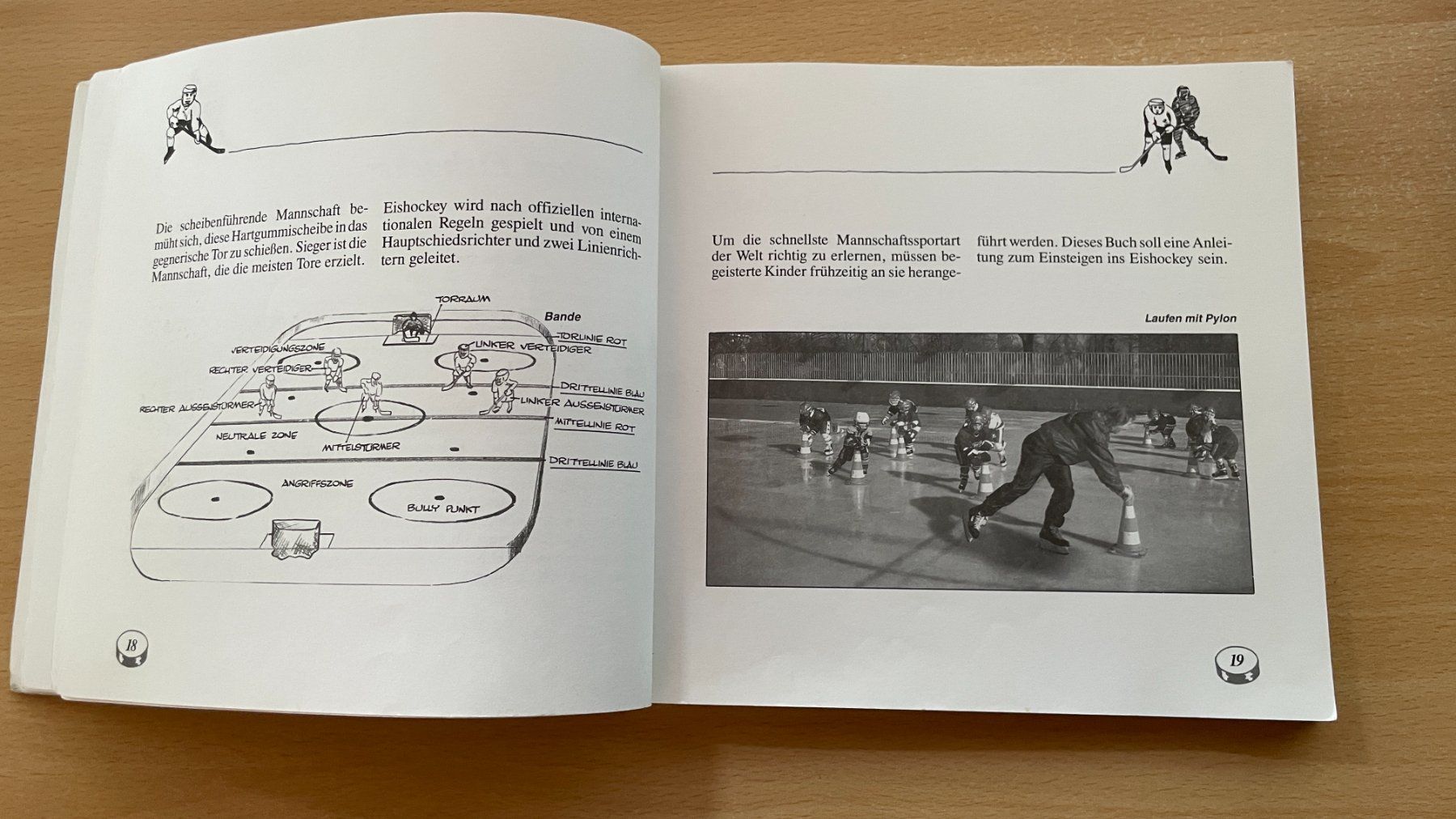 Libri: Eishockey vom Junior zum Champion – Usato da Glattfelden venduto da markweb 5