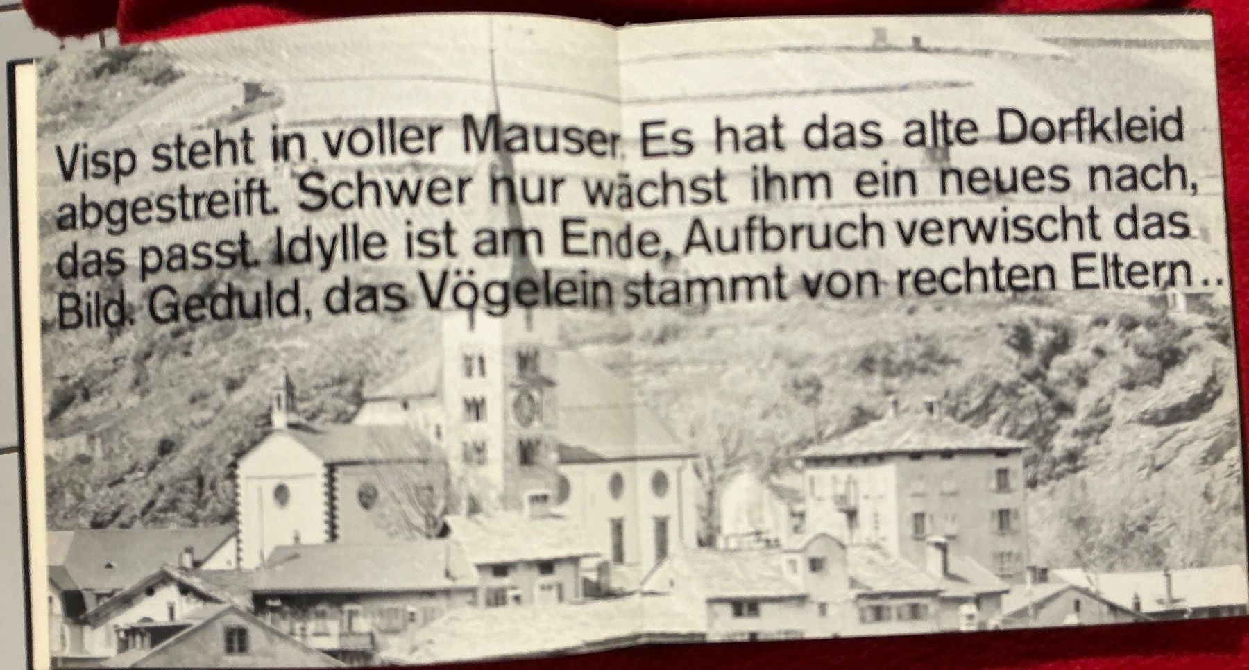 Libri: Visp - Variationen & Etüden - Pierre Imhasly/Karlen – Usato da Naters venduto da seidengut 4