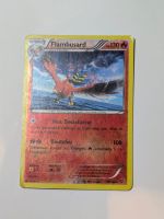 Flambusard (XY 28) en Français