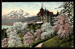 Weggis a. Vierwaldstättersee, Hotel Alp