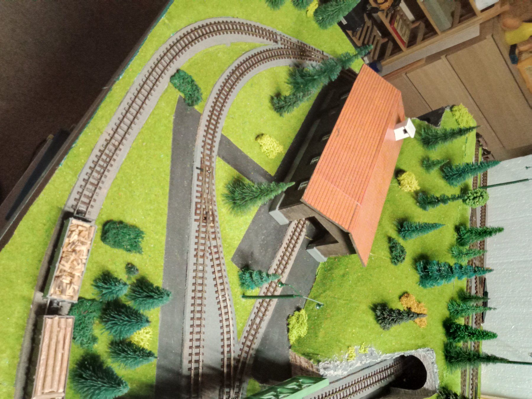 Roco Modelleisenbahnen: H0e Modellbahnanlage – Gebraucht aus Winterthur von  3