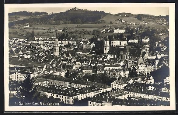Cartes postales: St. Gallen-C., Teilansicht mit Freudenbe – D'occasion à Berlin par bartko-reher