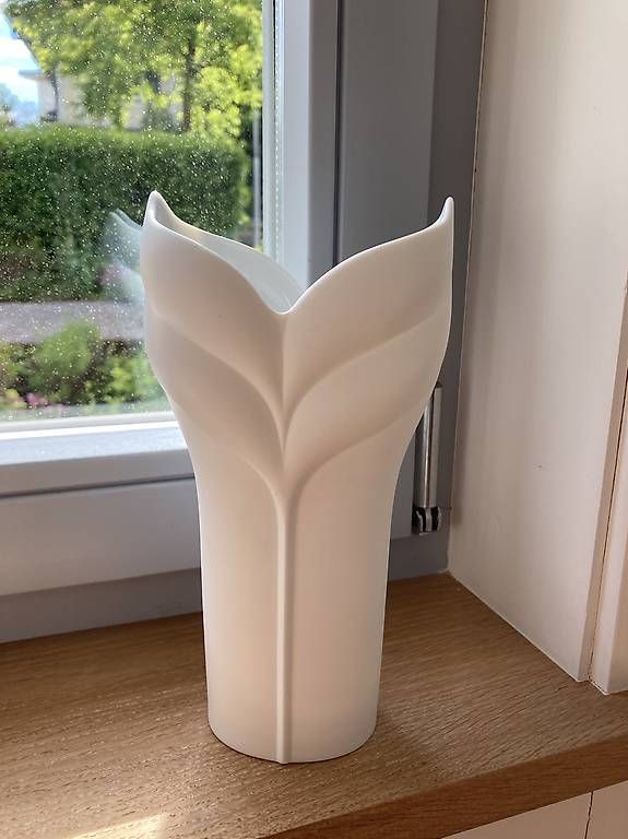 Vasi & Recipienti: Vase zur Dekoration – Usato da Bolligen venduto da abara1