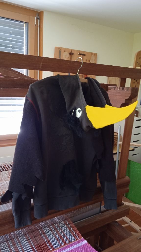 Costumi: Kostüm Rabe – Usato da Bäretswil venduto da Leiset 4