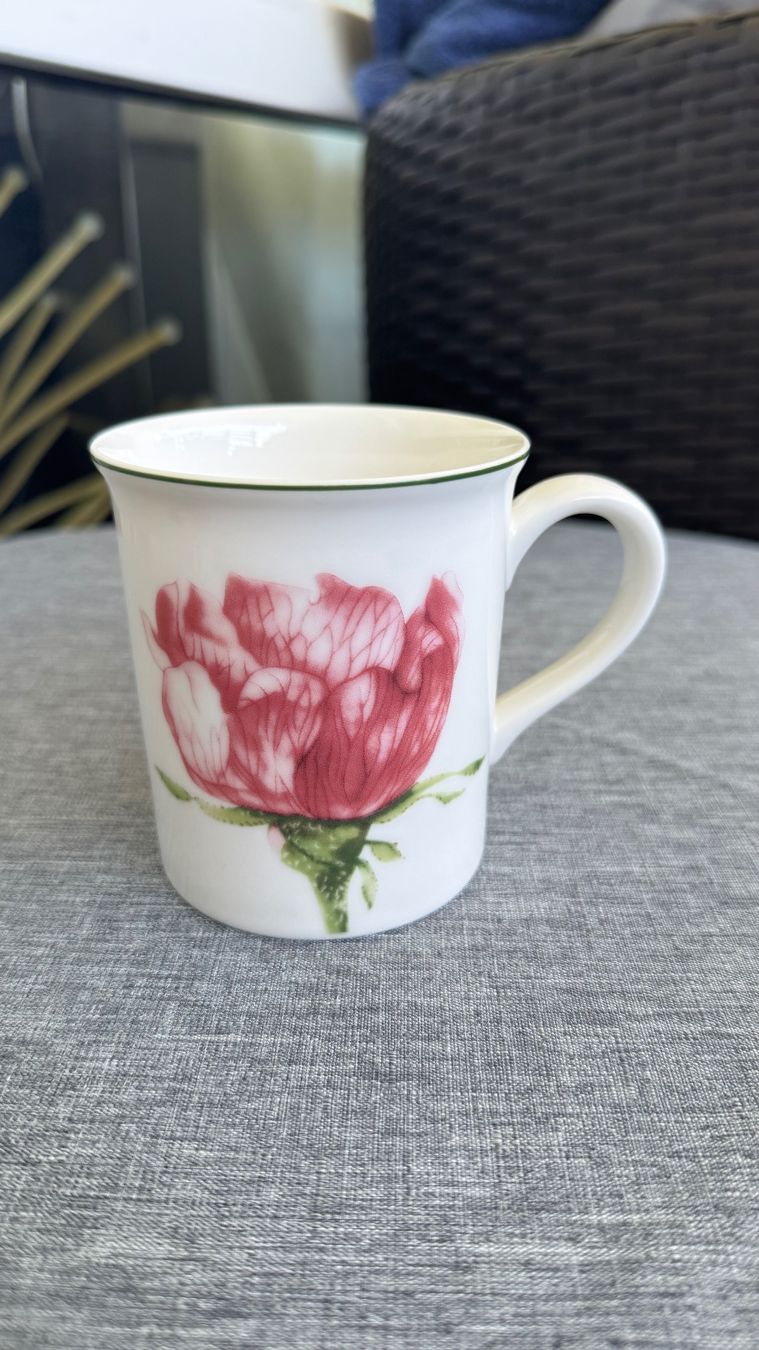 Villeroy & Boch Piatti: Villeroy Boch Tasse New – Nuovo (secondo la descrizione) da Zürich venduto da Privat4444