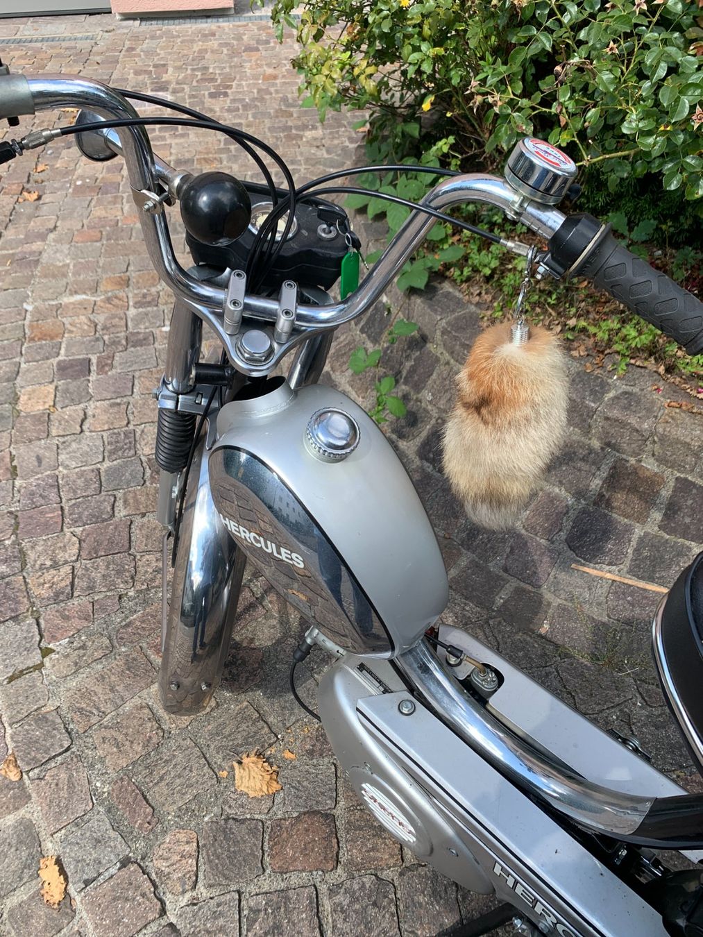 Sachs Cyclomoteurs: Mofa – D'occasion à Cham par Jakobus1 2
