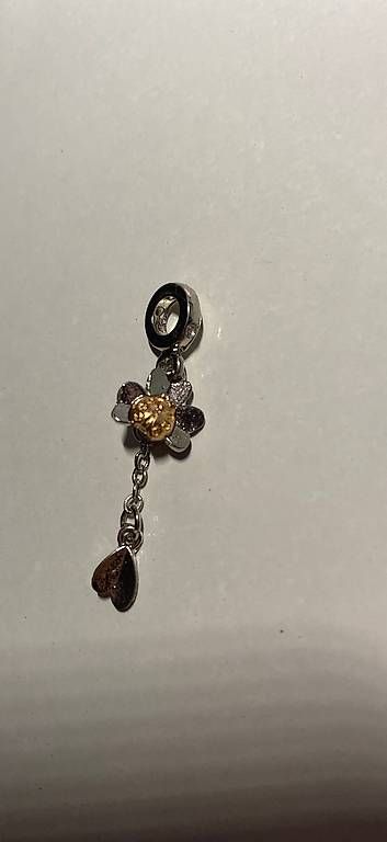 Anhänger: Pandora geeigneter Charm – Neu und originalverpackt aus Hombrechtikon von Shineeyes 2