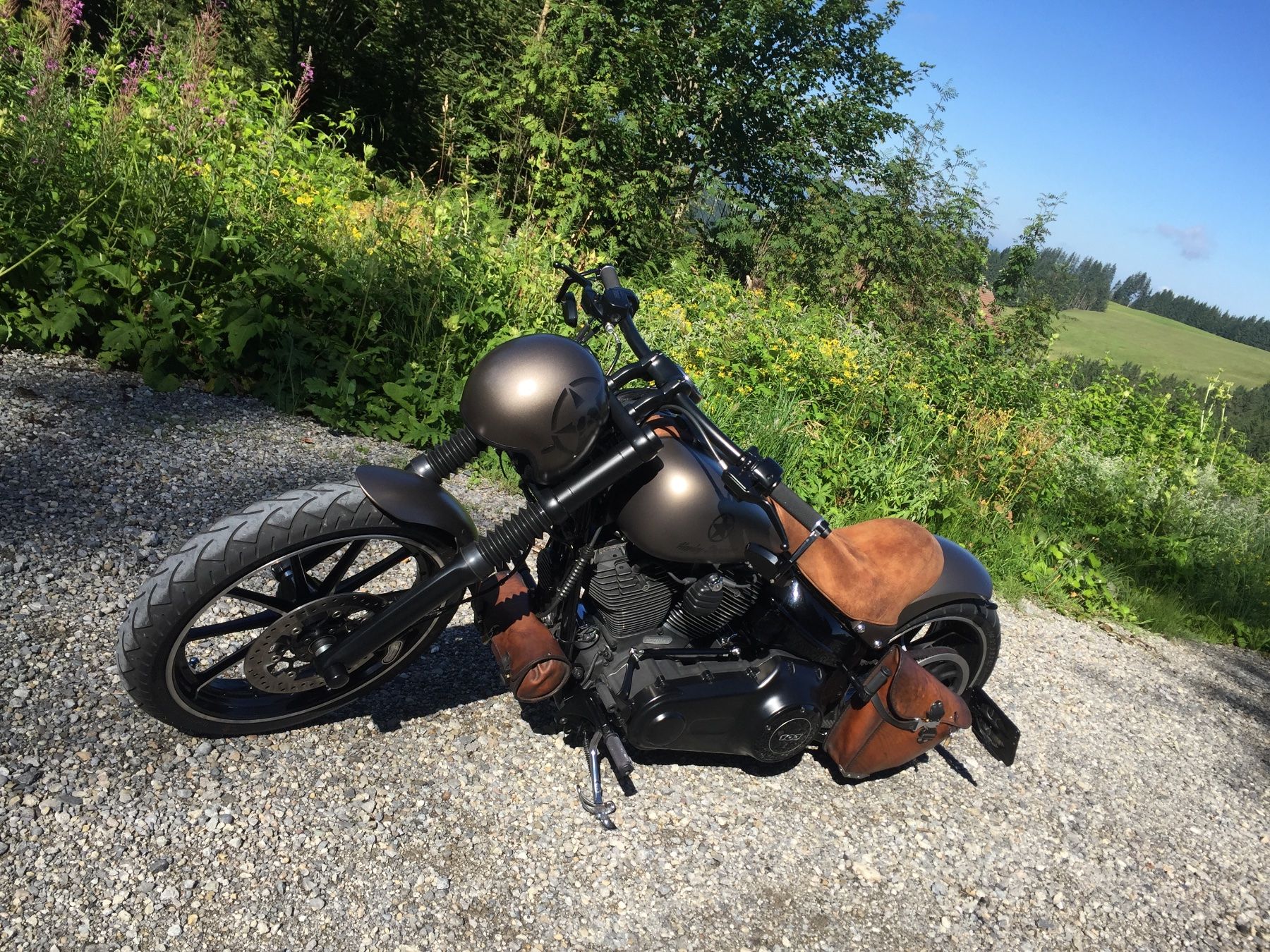 Harley-Davidson Chopper: HARLEY-DAVIDSON FXSB Breakout 103 ABS CUSTOMBIKE – Usato da Andwil SG venduto da ElmAki 1