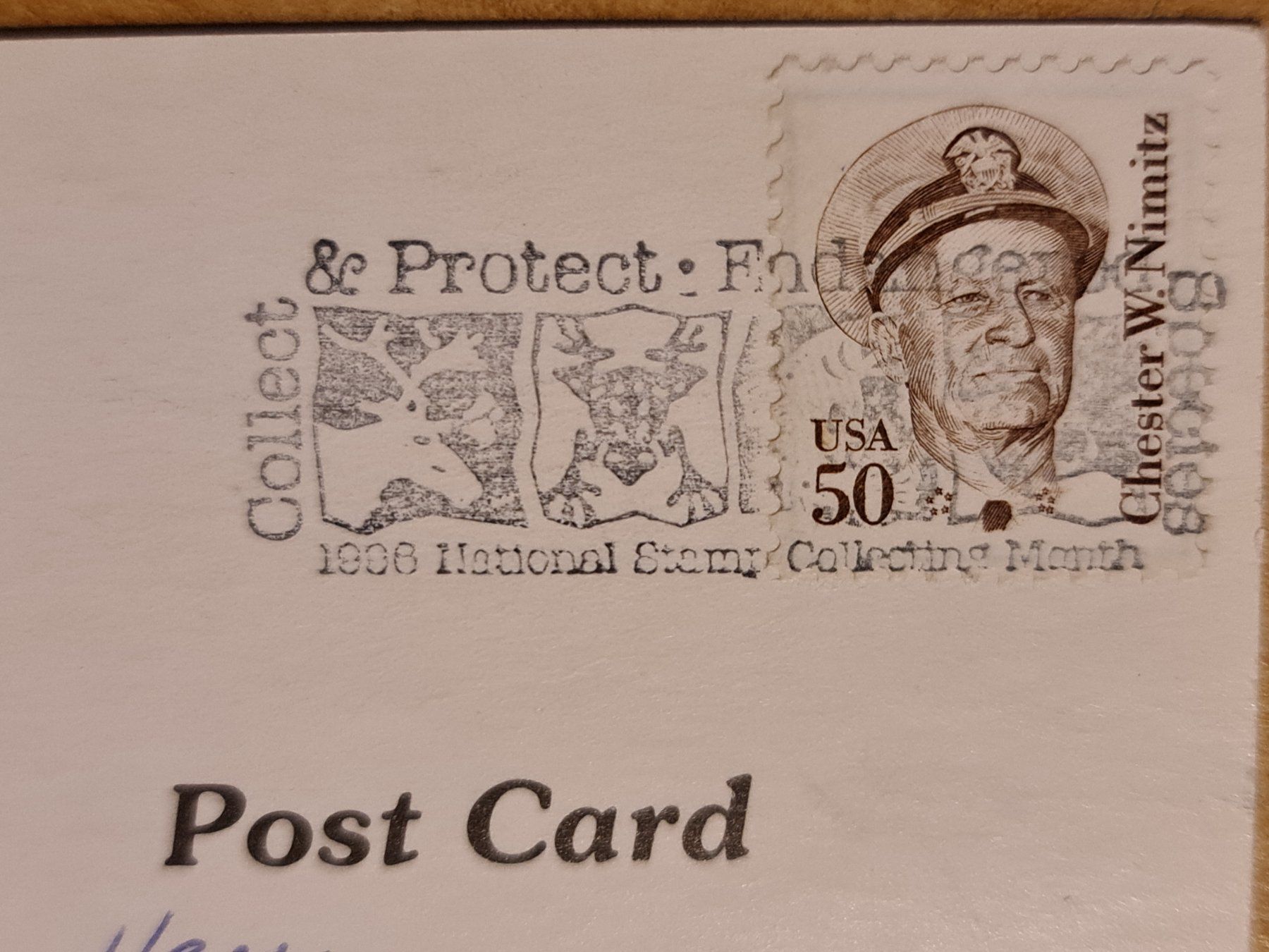 Cartoline postali: Ansichtskarte another day in Florida USA – Usato da Dintikon venduto da Vexi 1