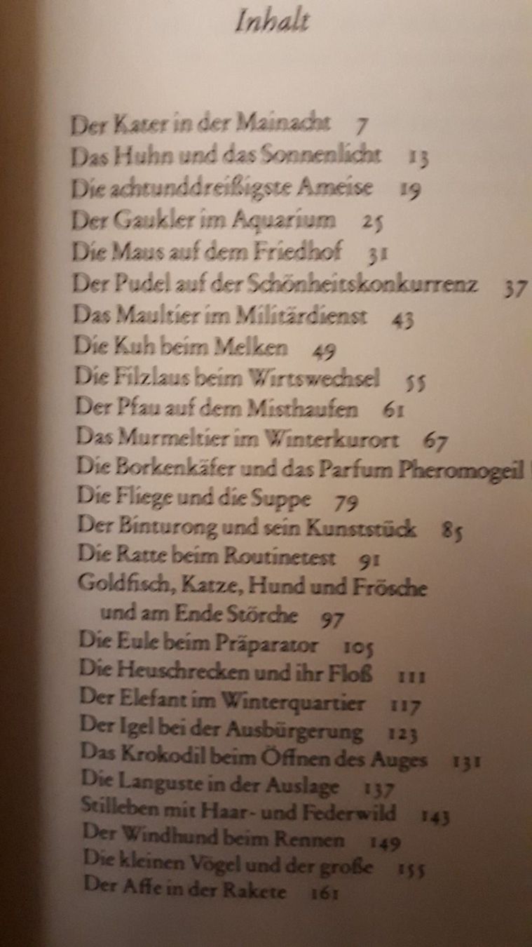 Bücher: Hugo Loetscher Die Fliege und die Suppe – Gebraucht aus Basel von Alacant 3