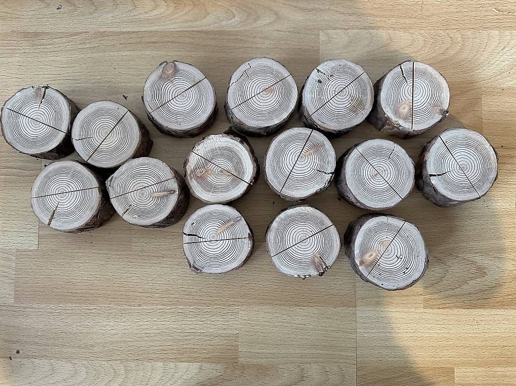 Alle Dekorationen: Tischkartenhalter Holz – Gebraucht aus Schwanden Sigrisw von NinaT 1