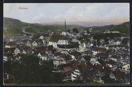 Herisau, Totalansicht mit Blick in die F